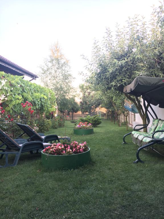 Hotel Vila Ann Eforie Nord Zewnętrze zdjęcie